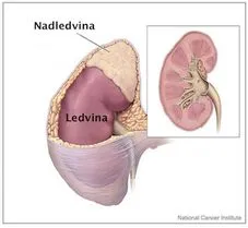 nadledviny